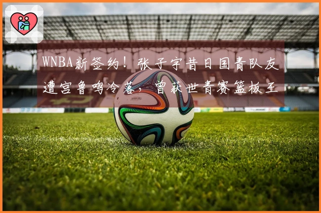 WNBA新签约！张子宇昔日国青队友遭宫鲁鸣冷落，曾获世青赛篮板王殊荣