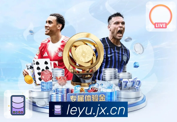 安装指引 - 下载、更新与常见问题